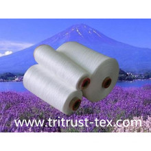 Spun Polyester Yarn for Sewing Thread (2/20s)